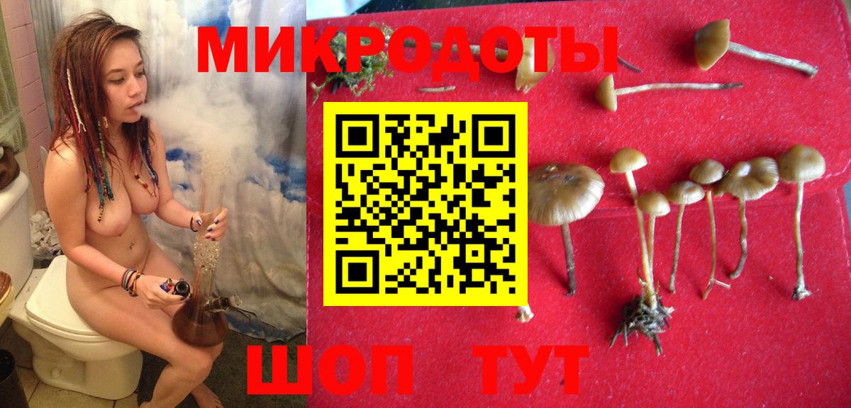 Сунжа  Псилоцибиновые грибы мицелий  Вход с VPN 