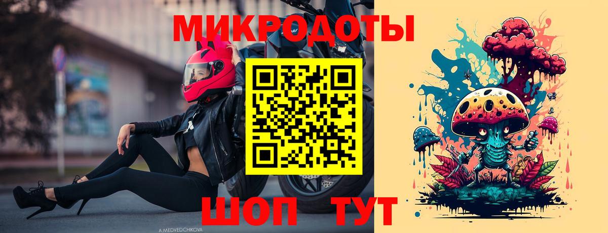 Псилоцибиновые грибы мицелий Сунжа